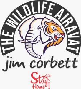 jimcarbet